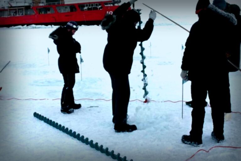 Hidden Nitrogen-Fixing Bacteria Discovered Under Arctic Ice