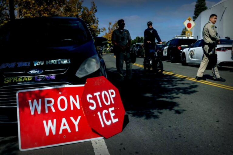 Do Undocumented Immigrants Really Increase Crime Rates? Studies Speak for Themselves