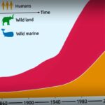 Humanity’s Footprint: How Our Movement Outstrips Wildlife