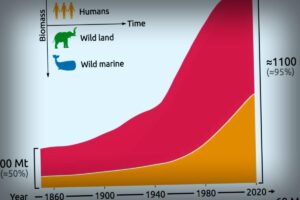 Humanity’s Footprint: How Our Movement Outstrips Wildlife