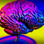 Discover the One Habit Sharing SuperAgers: What Research Reveals