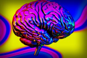 Discover the One Habit Sharing SuperAgers: What Research Reveals