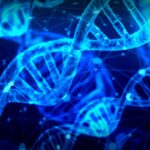 Shark DNA: A New Ally in the Battle Against Cancer