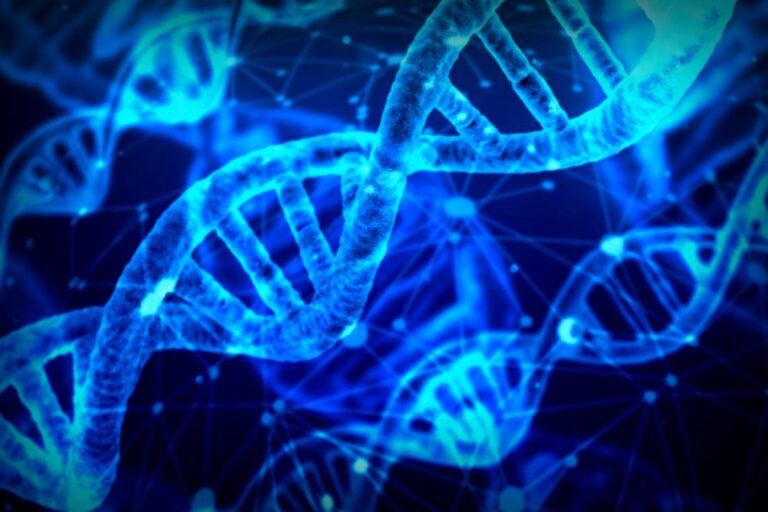 Shark DNA: A New Ally in the Battle Against Cancer