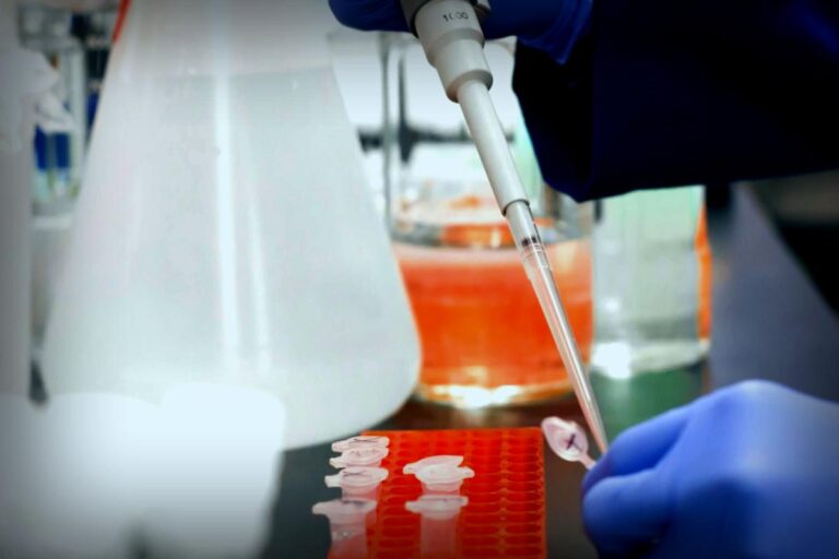 Is Your Next Medicine Hidden in a Tiny Droplet? Exploring Micro-Science