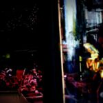 Investigation Launched Over Possible Lab Link to Swine Fever Outbreak in Spain