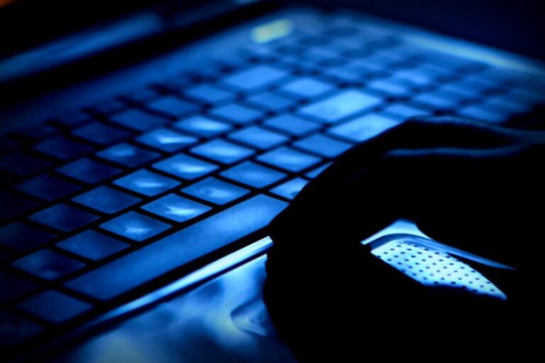 Vigilante Predator Hunters: Risks vs Rewards