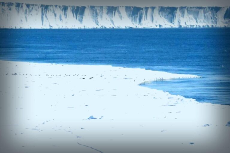 Argo Float Unveils Hidden Ocean Layers in Antarctica