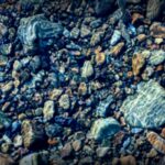 Mother Fights for Justice After Son’s Brutal Attack, Faces Charges Instead