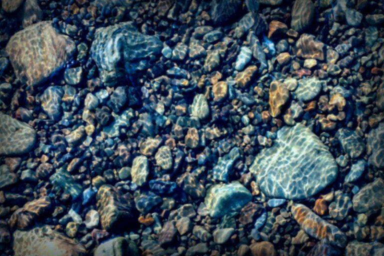 Mother Fights for Justice After Son’s Brutal Attack, Faces Charges Instead