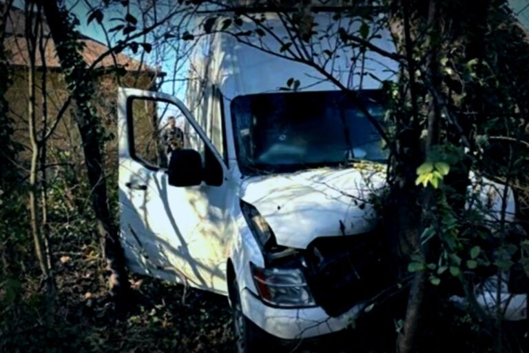 Confrontation with ICE: Undocumented Man Shot in Maryland After Allegedly Ramming Vehicle