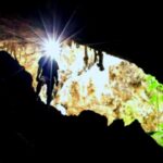 Cave Exploration Leads to Remarkable Discovery of Mythical-Heavy Dragon Millipedes