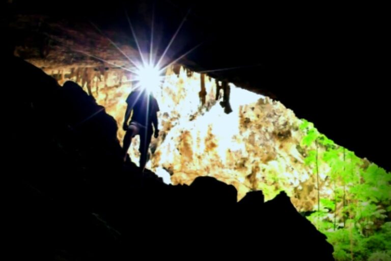 Cave Exploration Leads to Remarkable Discovery of Mythical-Heavy Dragon Millipedes