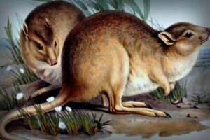 Every Extinction Takes Away More Than Just a Species – It Costs Us Knowledge